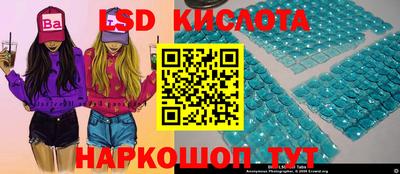 крисы Абакан