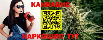 крисы Абакан