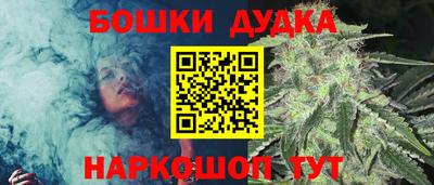 крисы Абакан