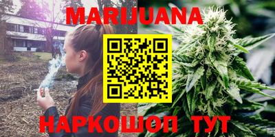 крисы Абакан
