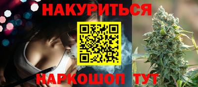 крисы Абакан