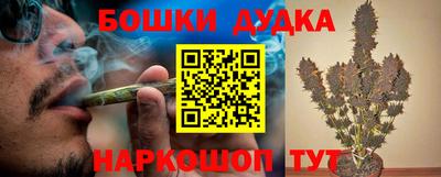 крисы Абакан