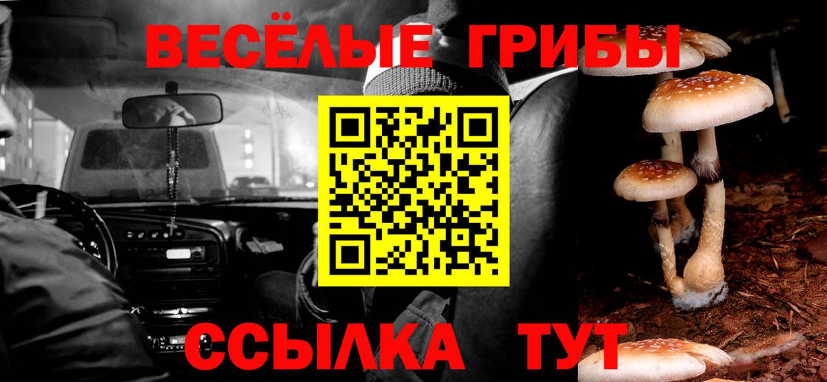 Псилоцибиновые грибы мухоморы  где продают   Ангарск  Галлюциногенные грибы прущие грибы  Вход с VPN 