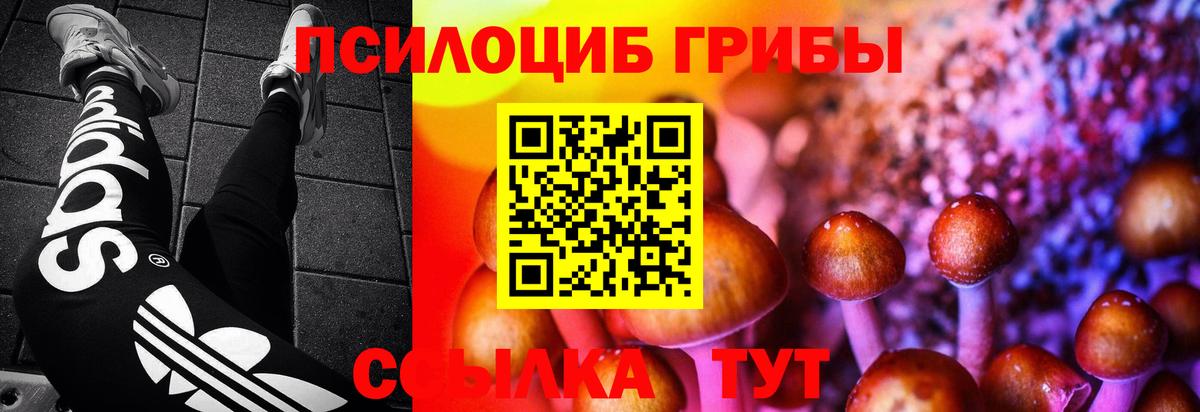 Псилоцибиновые грибы Psilocybe Ангарск